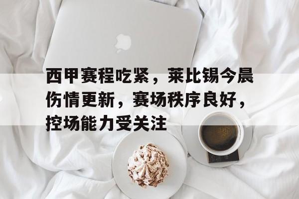 西甲赛程吃紧，莱比锡今晨伤情更新，赛场秩序良好，控场能力受关注的简单介绍-Kaiyun Sports